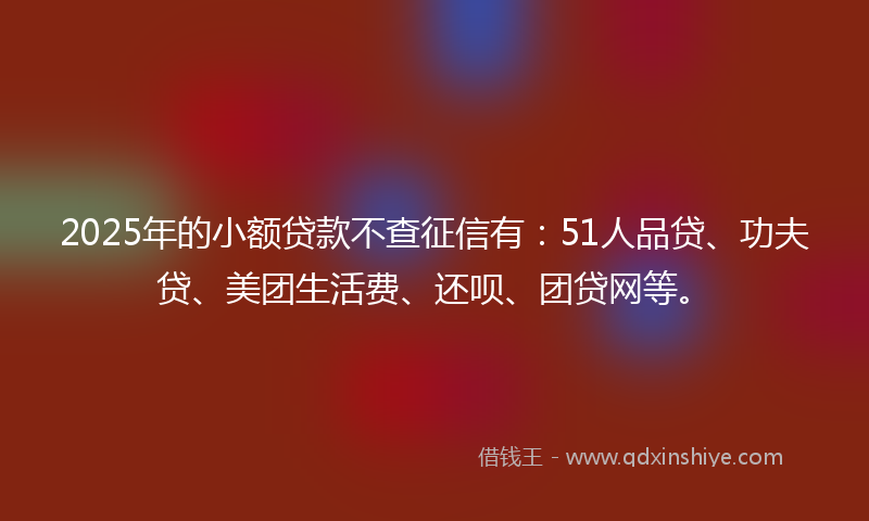 2025年的小额贷款不查征信有：51人品贷、功夫贷、美团生活费、还呗、团贷网等。