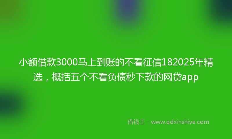 小额借款3000马上到账的不看征信182025年精选，概括五个不看负债秒下款的网贷app