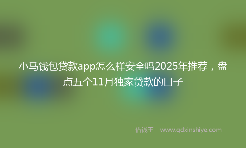 小马钱包贷款app怎么样安全吗2025年推荐，盘点五个11月独家贷款的口子