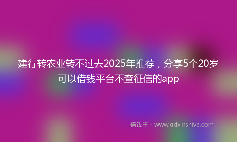 建行转农业转不过去2025年推荐，分享5个20岁可以借钱平台不查征信的app