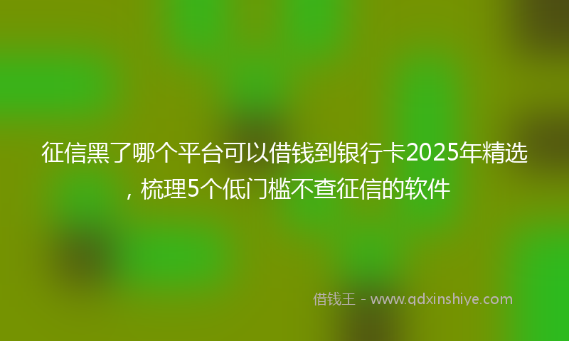 征信黑了哪个平台可以借钱到银行卡2025年精选，梳理5个低门槛不查征信的软件