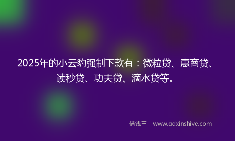 2025年的小云豹强制下款有：微粒贷、惠商贷、读秒贷、功夫贷、滴水贷等。