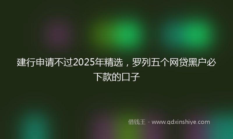 建行申请不过2025年精选，罗列五个网贷黑户必下款的口子