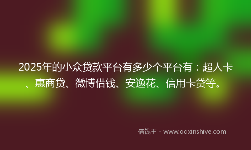 2025年的小众贷款平台有多少个平台有：超人卡、惠商贷、微博借钱、安逸花、信用卡贷等。