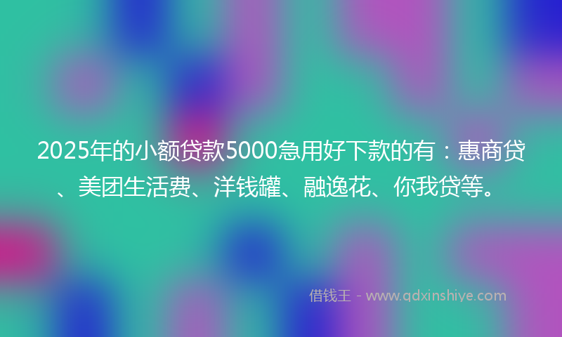 2025年的小额贷款5000急用好下款的有：惠商贷、美团生活费、洋钱罐、融逸花、你我贷等。