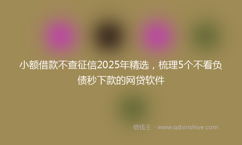 小额借款不查征信2025年精选，梳理5个不看负债秒下款的网贷软件