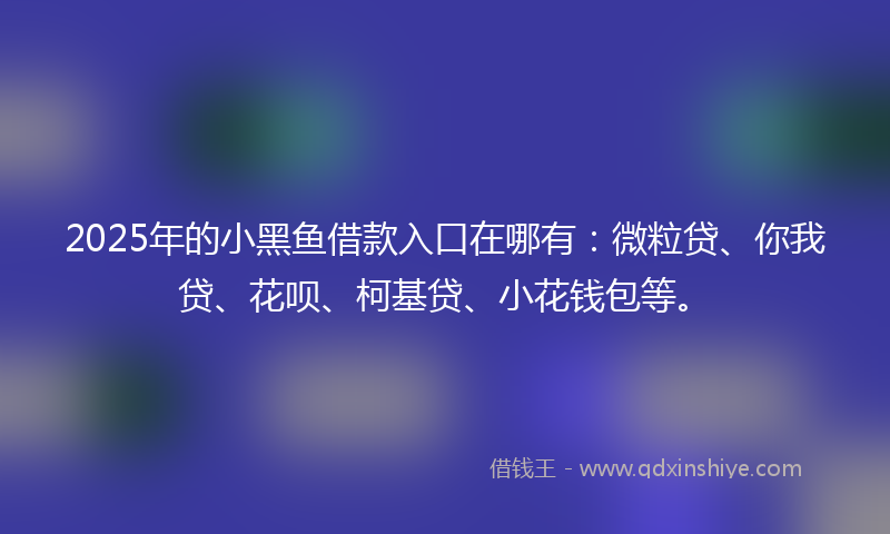 2025年的小黑鱼借款入口在哪有：微粒贷、你我贷、花呗、柯基贷、小花钱包等。