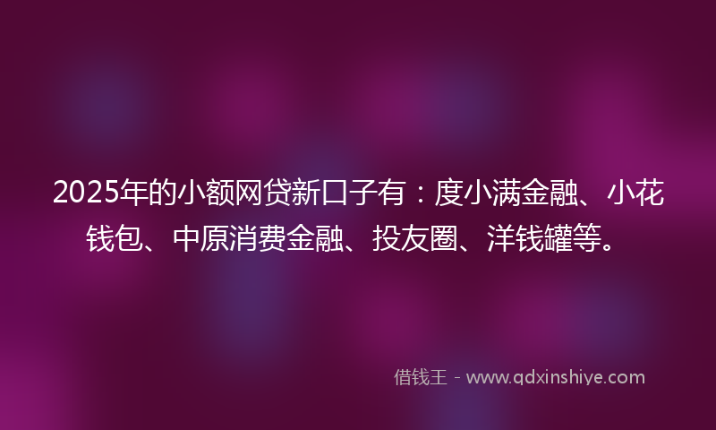 2025年的小额网贷新口子有：度小满金融、小花钱包、中原消费金融、投友圈、洋钱罐等。