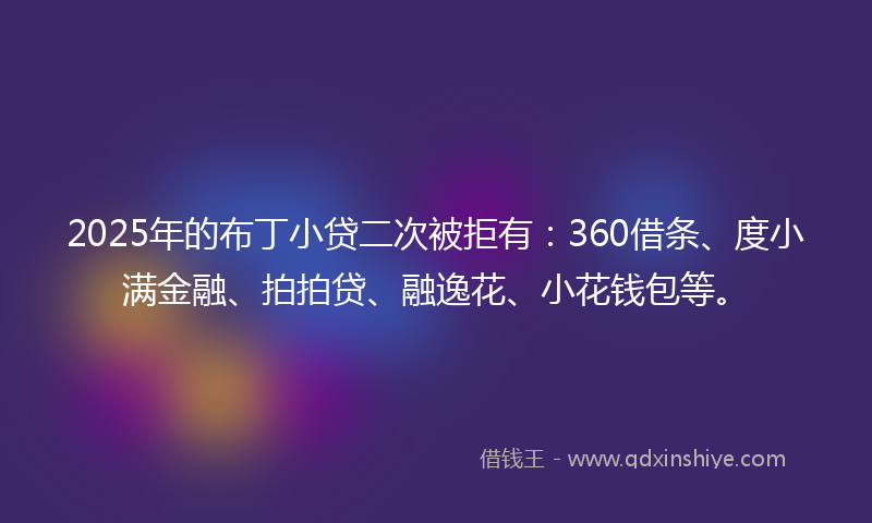 2025年的布丁小贷二次被拒有：360借条、度小满金融、拍拍贷、融逸花、小花钱包等。