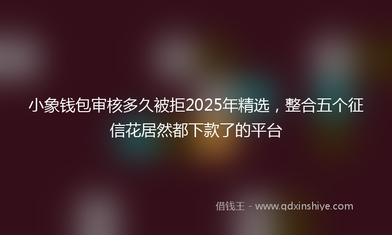 小象钱包审核多久被拒2025年精选，整合五个征信花居然都下款了的平台