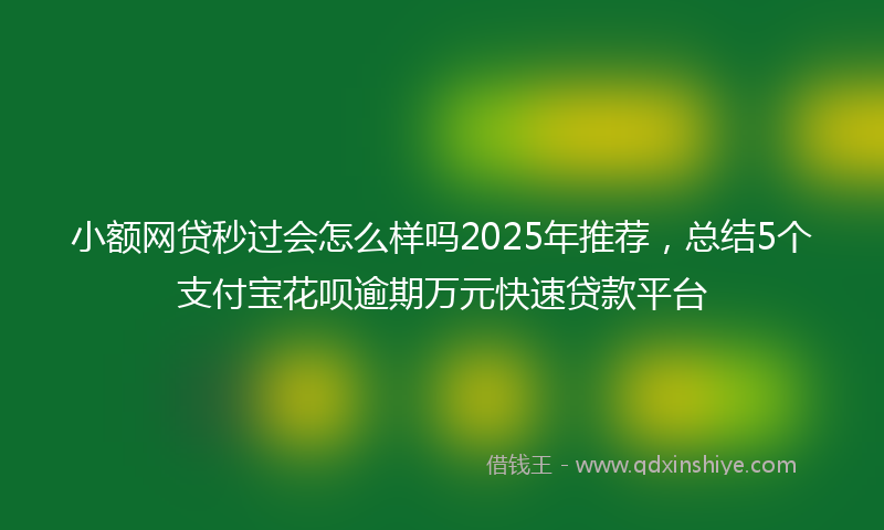 小额网贷秒过会怎么样吗2025年推荐，总结5个支付宝花呗逾期万元快速贷款平台
