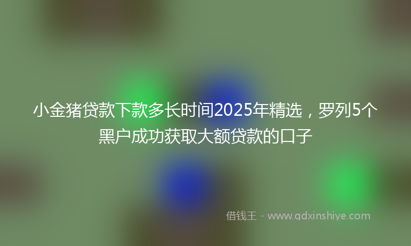 小金猪贷款下款多长时间2025年精选，罗列5个黑户成功获取大额贷款的口子