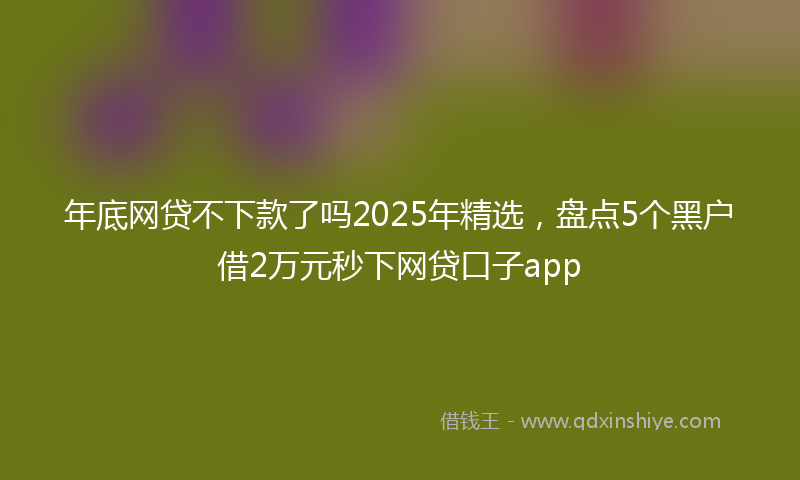 年底网贷不下款了吗2025年精选，盘点5个黑户借2万元秒下网贷口子app