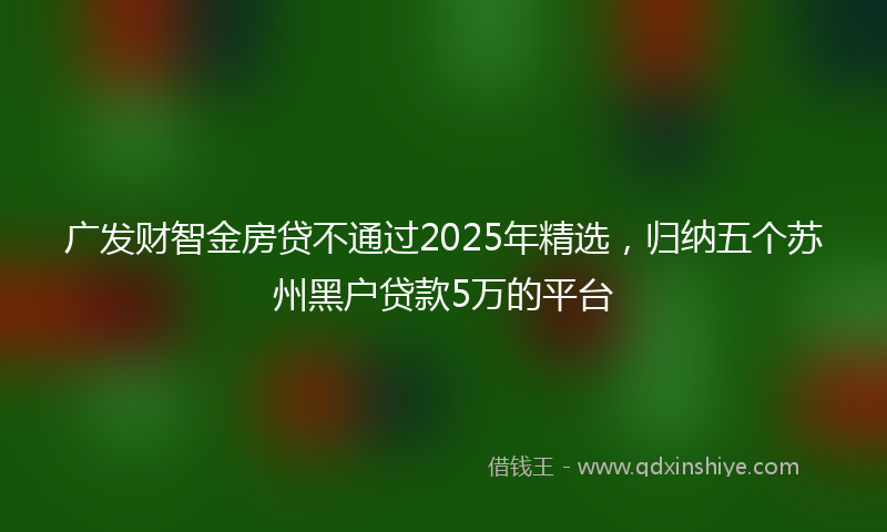 广发财智金房贷不通过2025年精选，归纳五个苏州黑户贷款5万的平台