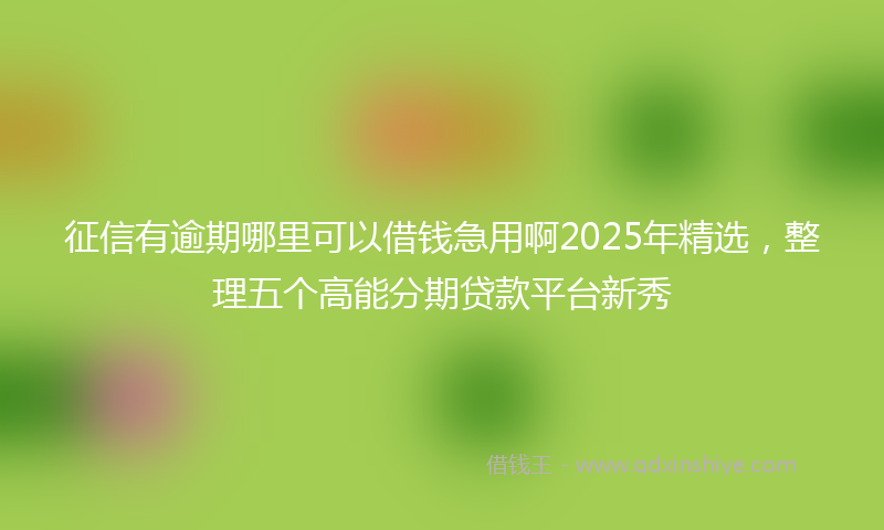征信有逾期哪里可以借钱急用啊2025年精选，整理五个高能分期贷款平台新秀