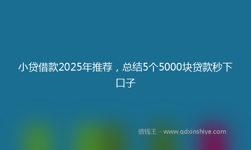 小贷借款2025年推荐，总结5个5000块贷款秒下口子