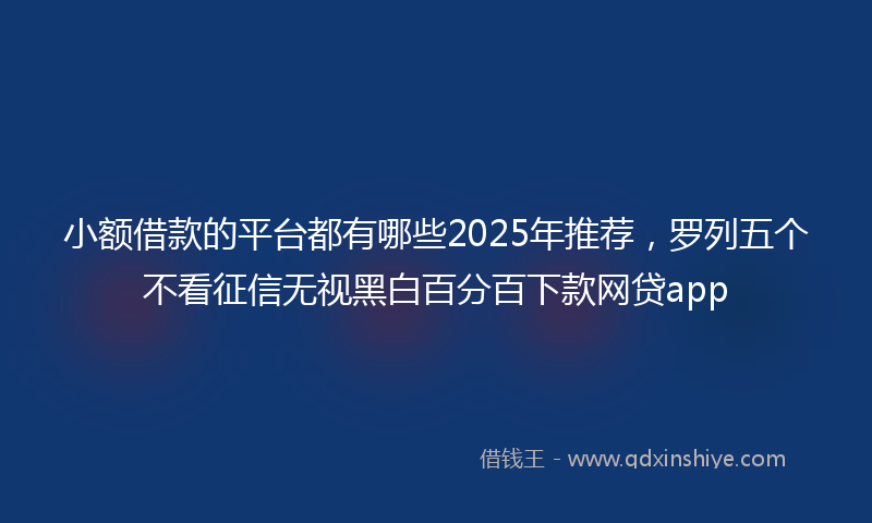 小额借款的平台都有哪些2025年推荐，罗列五个不看征信无视黑白百分百下款网贷app