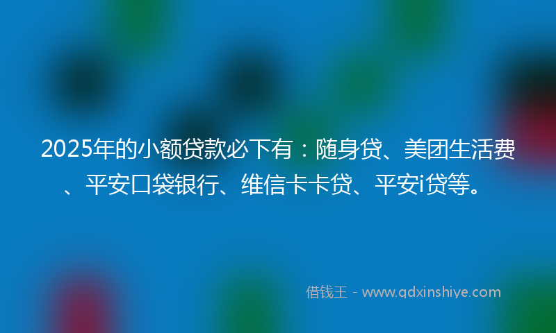 2025年的小额贷款必下有：随身贷、美团生活费、平安口袋银行、维信卡卡贷、平安i贷等。