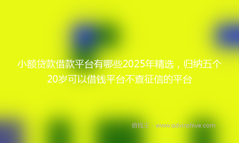 小额贷款借款平台有哪些2025年精选，归纳五个20岁可以借钱平台不查征信的平台