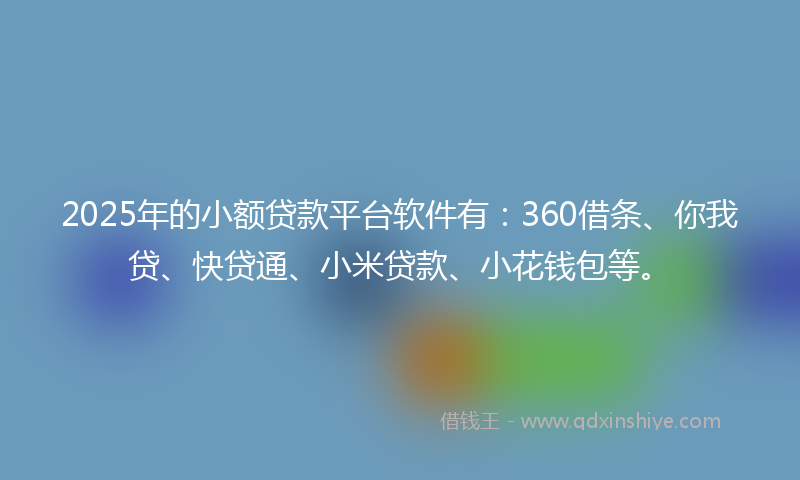 2025年的小额贷款平台软件有：360借条、你我贷、快贷通、小米贷款、小花钱包等。