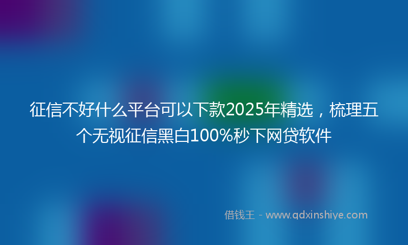 征信不好什么平台可以下款2025年精选，梳理五个无视征信黑白100%秒下网贷软件