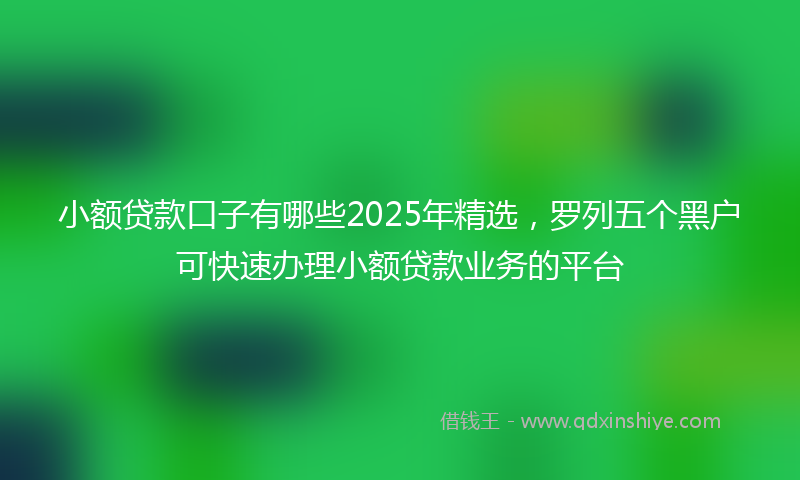小额贷款口子有哪些2025年精选，罗列五个黑户可快速办理小额贷款业务的平台
