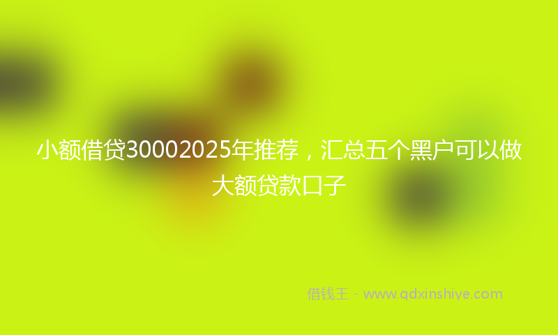 小额借贷30002025年推荐，汇总五个黑户可以做大额贷款口子
