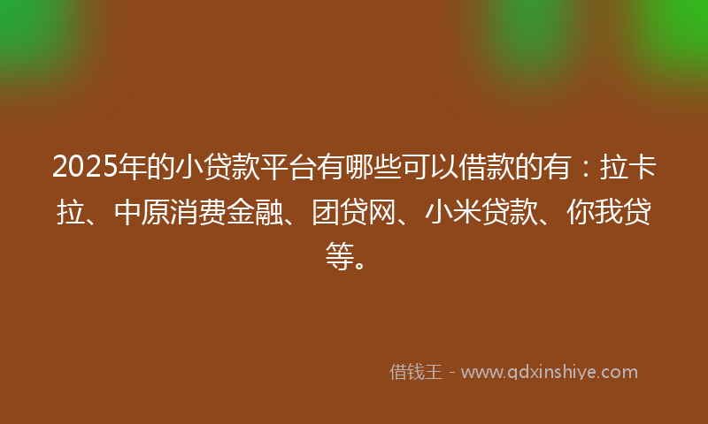 2025年的小贷款平台有哪些可以借款的有：拉卡拉、中原消费金融、团贷网、小米贷款、你我贷等。