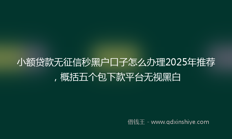 小额贷款无征信秒黑户口子怎么办理2025年推荐，概括五个包下款平台无视黑白