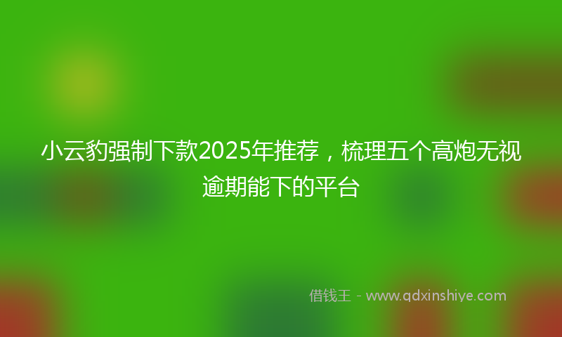 小云豹强制下款2025年推荐，梳理五个高炮无视逾期能下的平台