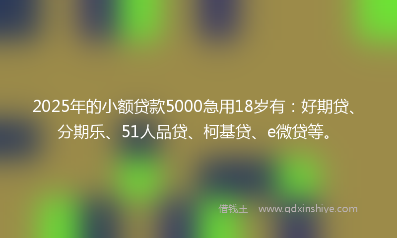 2025年的小额贷款5000急用18岁有：好期贷、分期乐、51人品贷、柯基贷、e微贷等。
