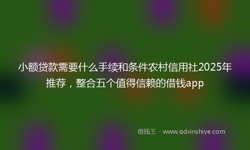 小额贷款需要什么手续和条件农村信用社2025年推荐，整合五个值得信赖的借钱app