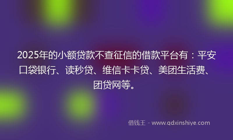 2025年的小额贷款不查征信的借款平台有：平安口袋银行、读秒贷、维信卡卡贷、美团生活费、团贷网等。
