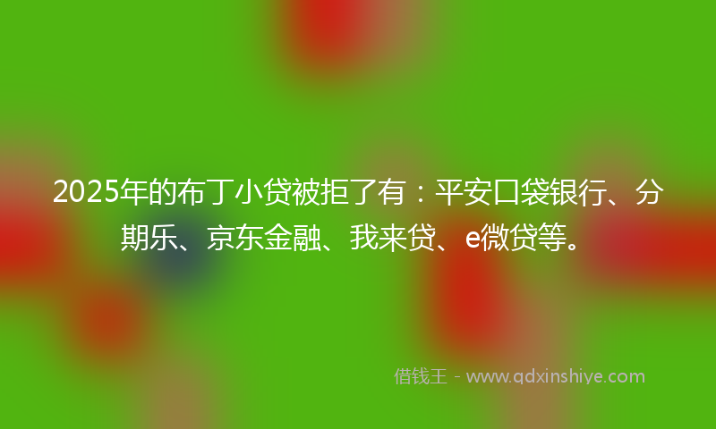 2025年的布丁小贷被拒了有：平安口袋银行、分期乐、京东金融、我来贷、e微贷等。