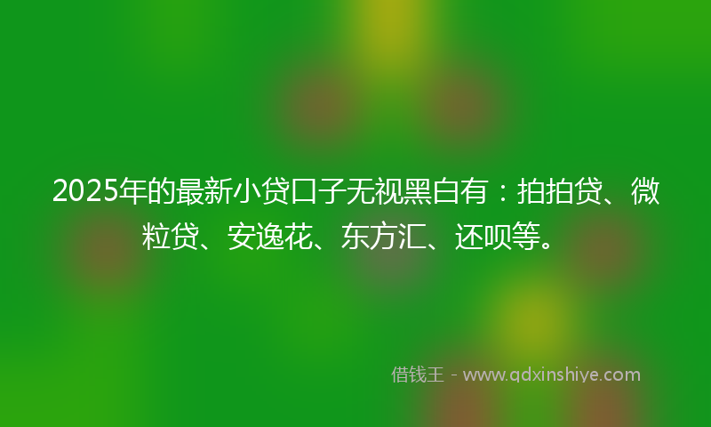 2025年的最新小贷口子无视黑白有：拍拍贷、微粒贷、安逸花、东方汇、还呗等。