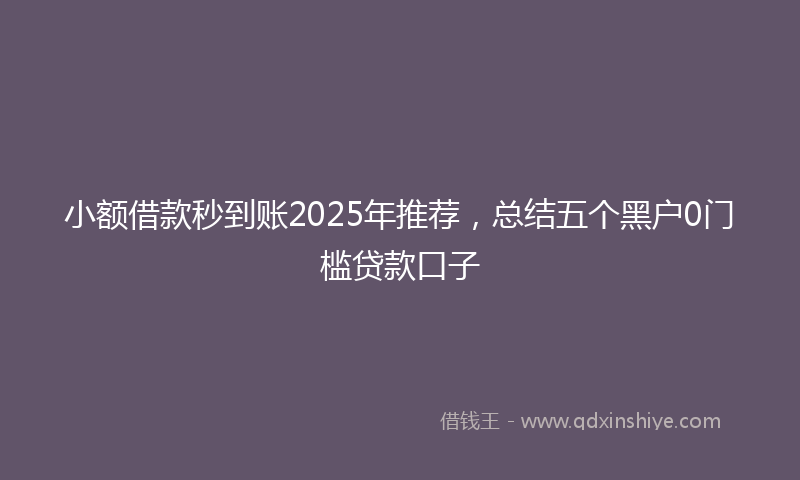 小额借款秒到账2025年推荐，总结五个黑户0门槛贷款口子