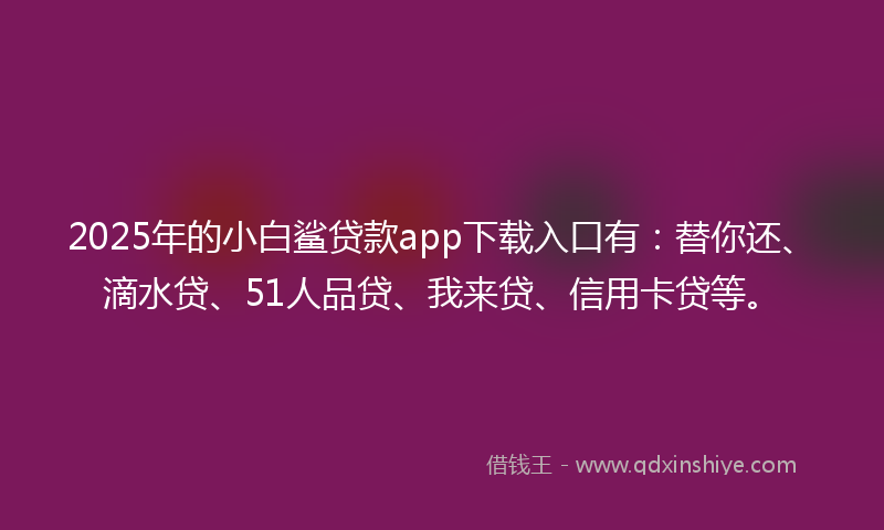 2025年的小白鲨贷款app下载入口有：替你还、滴水贷、51人品贷、我来贷、信用卡贷等。