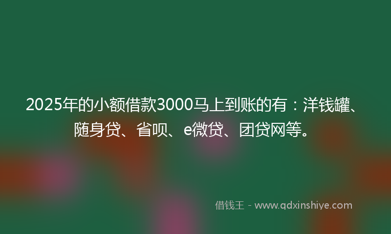 2025年的小额借款3000马上到账的有：洋钱罐、随身贷、省呗、e微贷、团贷网等。