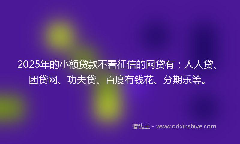 2025年的小额贷款不看征信的网贷有：人人贷、团贷网、功夫贷、百度有钱花、分期乐等。