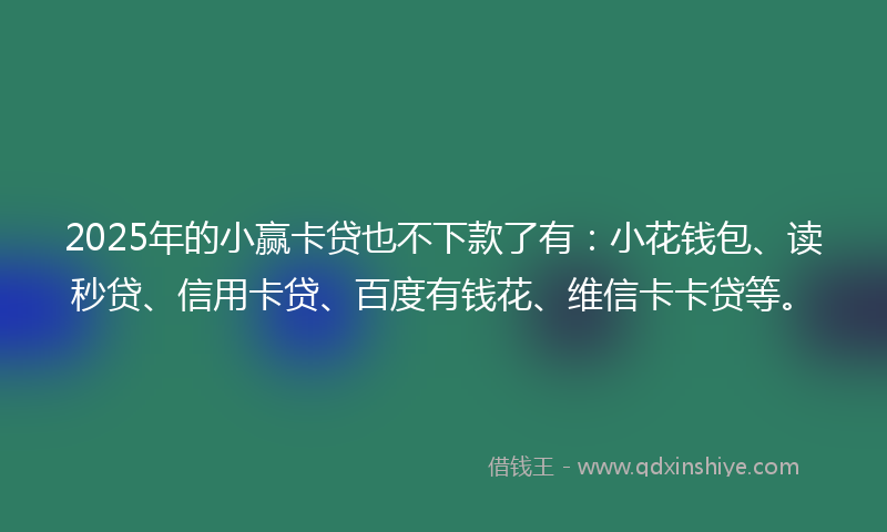 2025年的小赢卡贷也不下款了有：小花钱包、读秒贷、信用卡贷、百度有钱花、维信卡卡贷等。