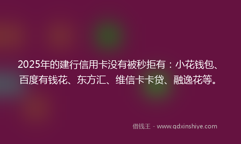 2025年的建行信用卡没有被秒拒有：小花钱包、百度有钱花、东方汇、维信卡卡贷、融逸花等。