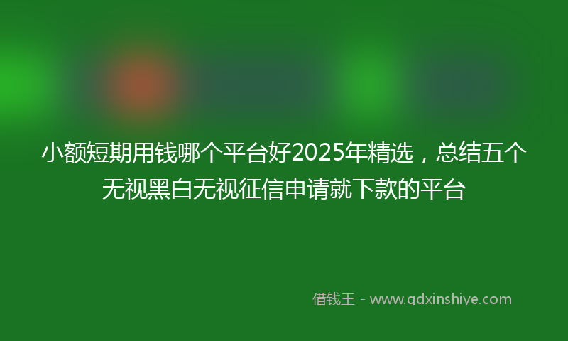 小额短期用钱哪个平台好2025年精选，总结五个无视黑白无视征信申请就下款的平台