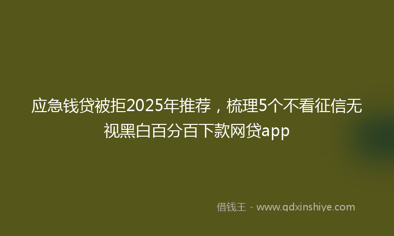 应急钱贷被拒2025年推荐，梳理5个不看征信无视黑白百分百下款网贷app