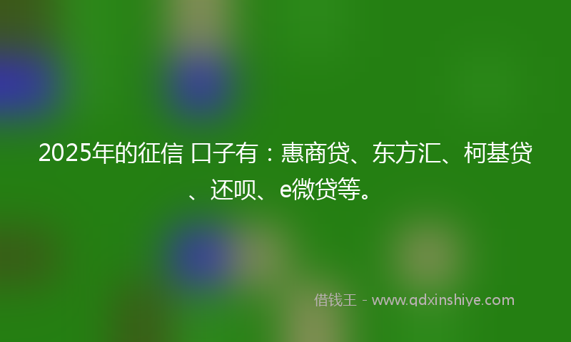 2025年的征信 口子有：惠商贷、东方汇、柯基贷、还呗、e微贷等。