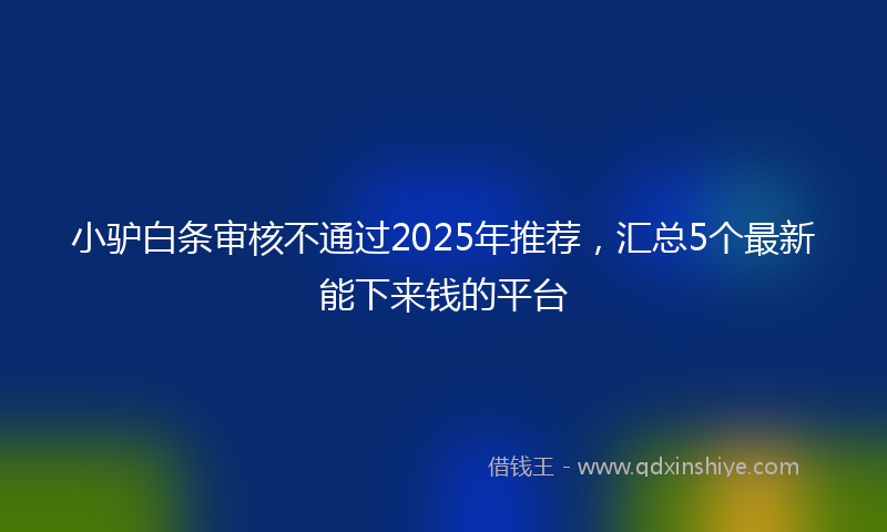 小驴白条审核不通过2025年推荐，汇总5个最新能下来钱的平台