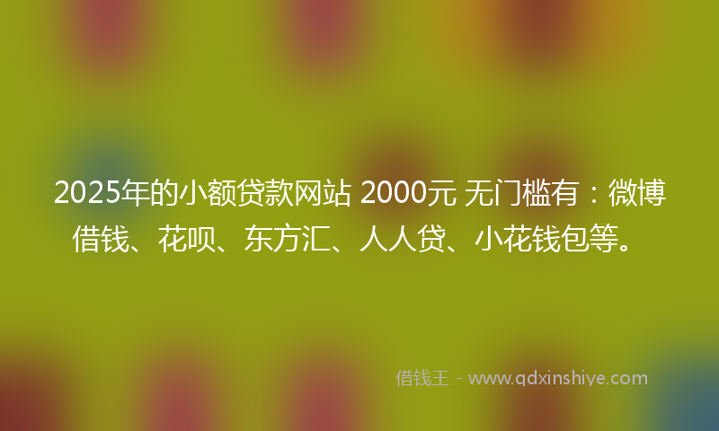 2025年的小额贷款网站 2000元 无门槛有：微博借钱、花呗、东方汇、人人贷、小花钱包等。