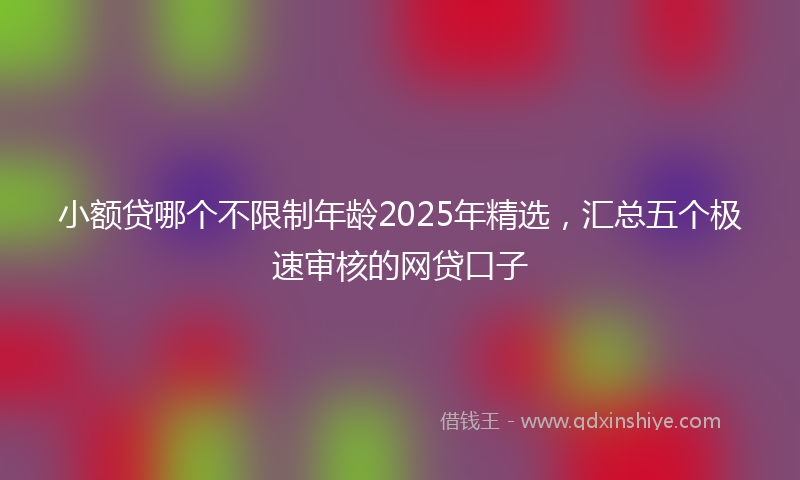 小额贷哪个不限制年龄2025年精选，汇总五个极速审核的网贷口子