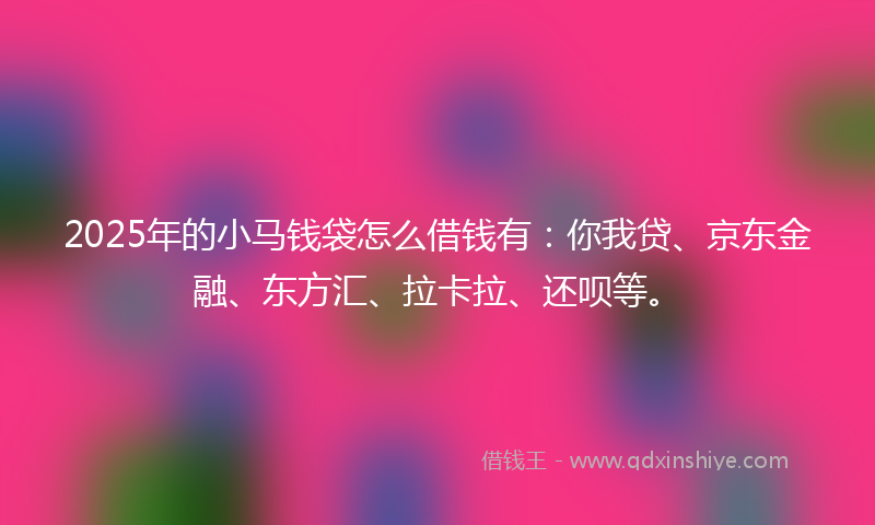 2025年的小马钱袋怎么借钱有：你我贷、京东金融、东方汇、拉卡拉、还呗等。