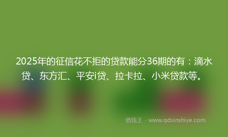 2025年的征信花不拒的贷款能分36期的有：滴水贷、东方汇、平安i贷、拉卡拉、小米贷款等。