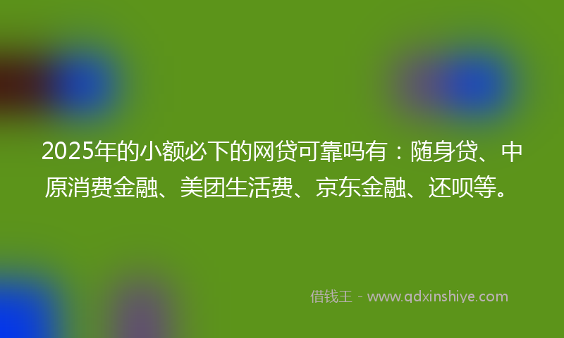2025年的小额必下的网贷可靠吗有：随身贷、中原消费金融、美团生活费、京东金融、还呗等。
